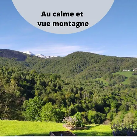 Les Mésanges *